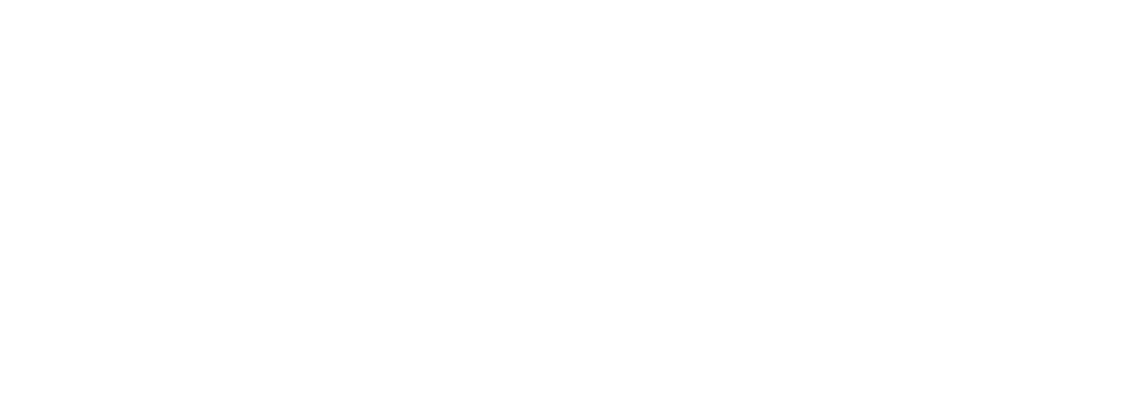 Ready Asset Pro logo